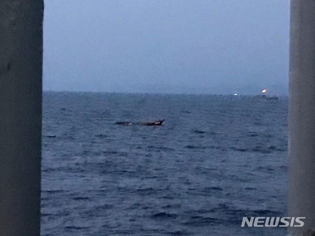 ▲ 사진은 지난 12일 동해 북방한계선(NLL) 북방 1㎞, 동해 연안 8.7㎞ 해상에서 발견된 무인 목선. ⓒ뉴시스