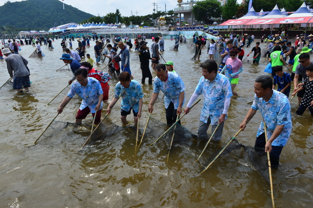 ▲ 개막식 후 이철우 경북지사 등 내빈들이 직접 은어잡이를 하고 있다.ⓒ봉화군