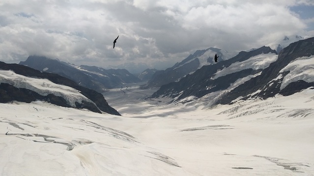 ▲ 해발 3454m 융프라우요흐에서 바라본 알레취 빙하 발원지의 풍경. 유네스코 세계자연유산으로 지정된 절정의 풍경이다.