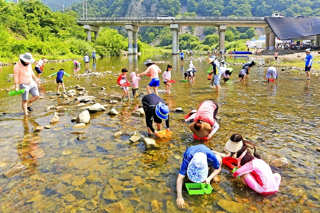 ▲ 본격적 휴가철을 맞아 청송군이 8월3일 제10회 청송 다슬기 줍기 체험 행사를 갖는다.ⓒ청송군