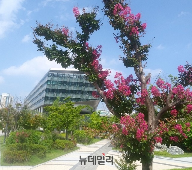 ▲ 7월의 마지막 날인 31일 뜨거운 날씨 속 세종시청 주변에 조성된 산책로 한 모퉁이의 이름모를 한 나무에 꽃을 활짝 피우고 그 자태를 뽐내고 있다.ⓒ김동식 기자