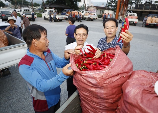 ▲ 이차영 충북 괴산군수가 3일 개장한 괴산 홍고추시장을 방문, 홍고추를 살펴보고 있다.ⓒ괴산군