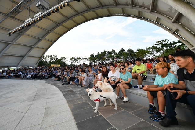 ▲ 청도야외공연장에서 열린 이색 음악회인 2019 반려동물을 위한 콘서트 장면.ⓒ청도군