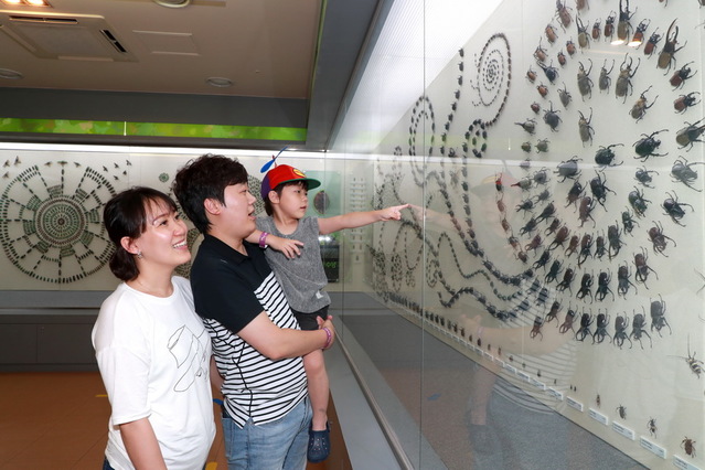 ▲ 2019 여름방학 예천 곤충페스티벌이 지난 달 31일 효자면 예천곤충생태원 일원에서 개막해 어린이와 부모에게 색다른 즐거움을 선사했다.ⓒ예천군