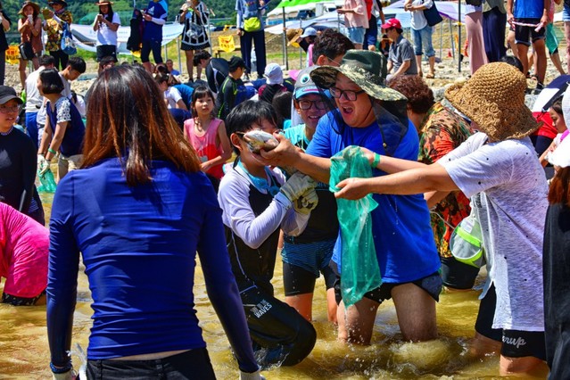 ▲ 지난해 축제에 참여한 주민과 관광객들이 맨손으로 송어를 잡고 즐거워하고 있다.ⓒ영월군