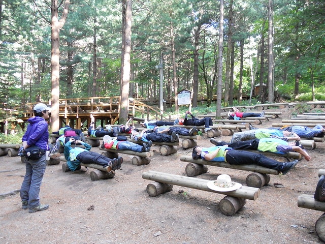 ▲ 강원도 국립횡성숲체험원에서 산림치유 프로그램을 진행하고 있다.ⓒ대구한의대
