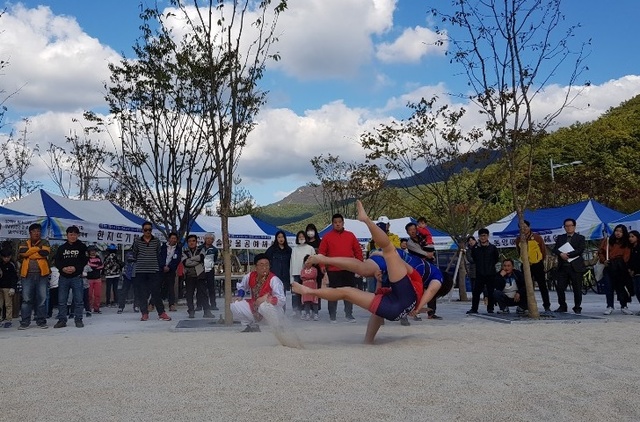 ▲ 사진은 지난해 열린 제37회 연풍조령문화제 씨름왕 선발대회 장면.ⓒ괴산군