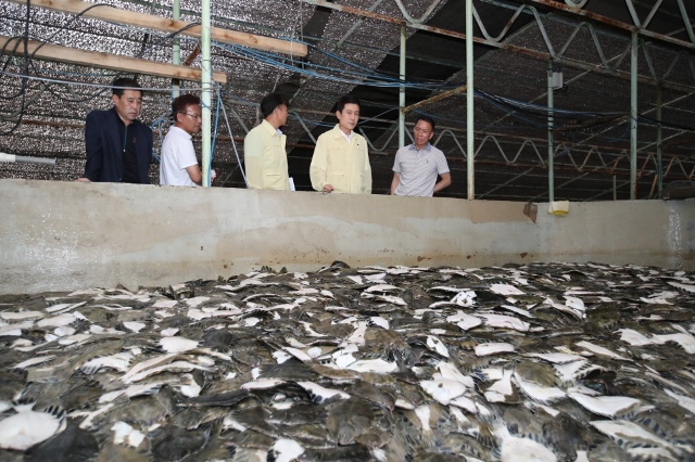 ▲ 이강덕 포항시장이 고수온 피해 양식어가를 방문해 어업인들을 위로하고 있다.ⓒ포항시
