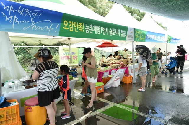 ▲ 청송군은 최근 농촌관광체험을 찾는 도시소비자의 수요에 부응하기 위해 청송군 웰빙농산물과 전통문화를 활용한 농촌관광 프로그램을 지원하고 있다.ⓒ청송군