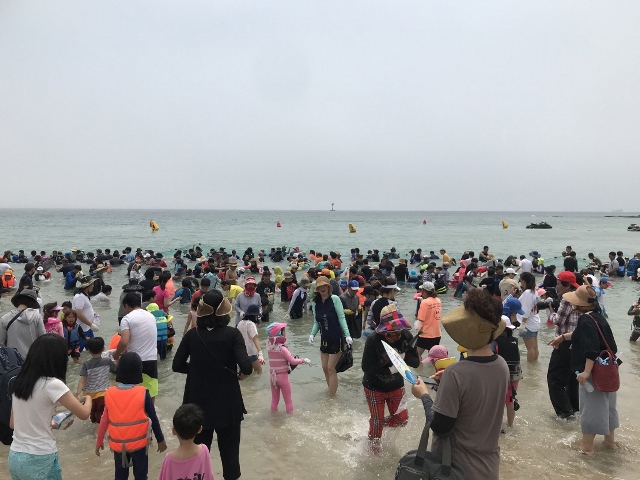 ▲ 구룡포해수욕장의 오징어맨손잡기 체험 모습.ⓒ포항시