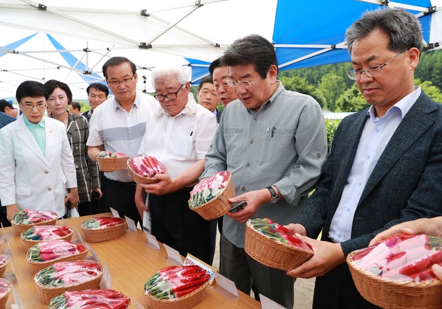 ▲ 영양군 농업기술센터 및 영양고추연구소는 지난 16일 고추 재배 농업인 500여명이 참석한 가운데 2019년도 고추 농사 평가회를 실시했다.ⓒ영양군
