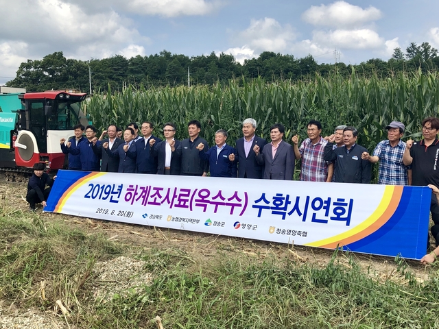 ▲ 경북농협(본부장 도기윤)은 20일 청송군 주왕산면 하의리에서 ‘2019 하계조사료 수확시연회’를 갖고 생산기반 구축 등에 대한 점검을 했다.ⓒ경북농협