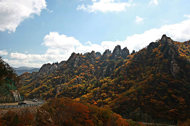 ▲ 강원도 양양군 양양3경인 오색령(한계령) 가을 모습.ⓒ양양군청