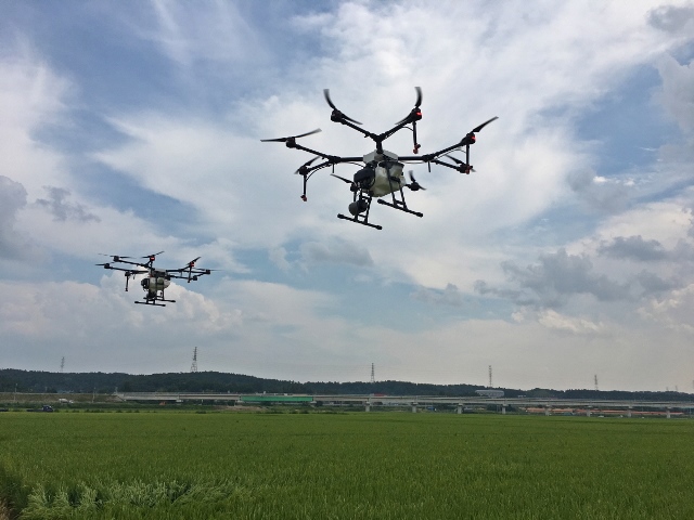 ▲ 포항시는 드론을 이용해 흥해지역에 발생한 벼 돌발 병해충인 줄점팔랑나비 긴급 방제를 실시했다.ⓒ포항시