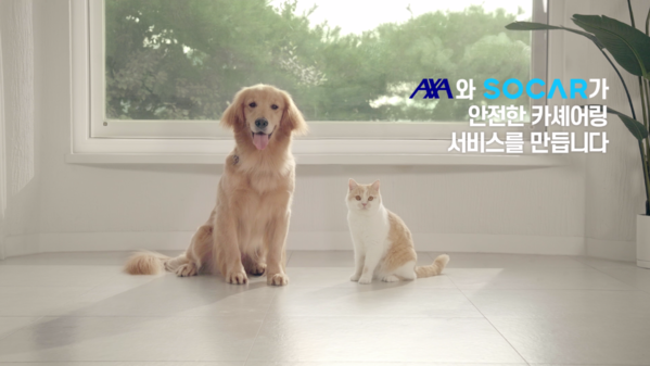 ▲ ⓒAXA손해보험