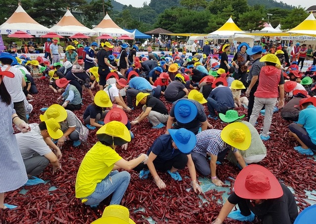 ▲ ‘황금고추를찾아라’ 행사장.ⓒ괴산군