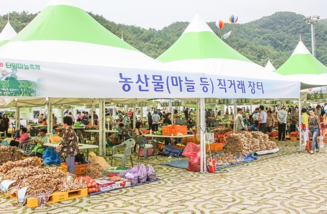 ▲ 지난 7월 12~14일 단양군 단양생태체육공원에서 열린 '단양마늘축제'에 생산자 농가들이 마늘 직판행사를 열고 있다.ⓒ단양군