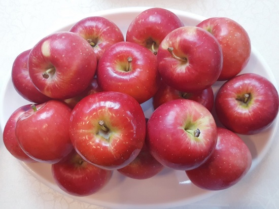 ▲ 충남도 농업기술원이 개발한 미니사과 ‘루비에스’ⓒ충남도