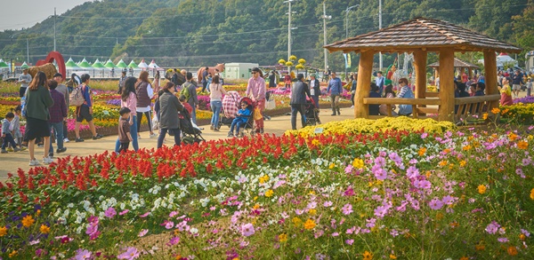▲ 사진은 지난해 열린 청원생명축제 장면.ⓒ청주시
