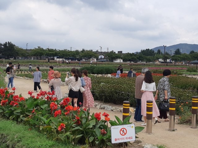 ▲ 전국 나들이객이 동부사적지 일원을 둘러보고 있다.ⓒ경주시