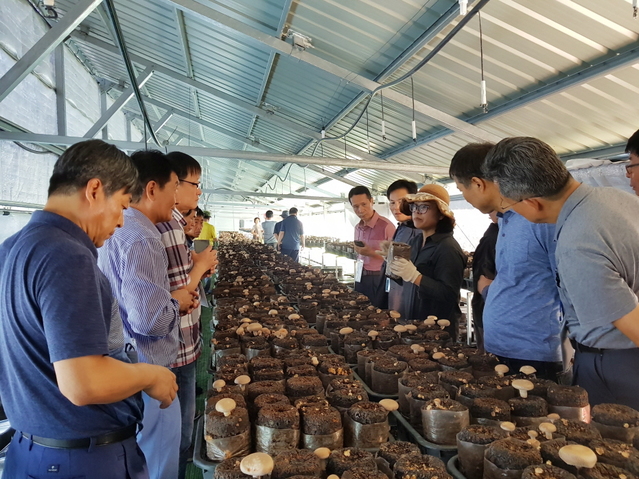 ▲ 영천시(시장 최기문)는 귀농·귀촌에 대한 관심을 가질 수 있도록 도시민 맞춤형 체험프로그램 ‘농촌탐방 귀농투어’를 운영한다.ⓒ영천시