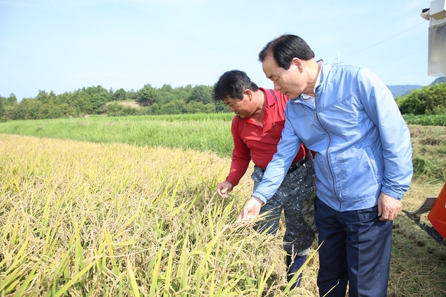 ▲ 김주수 의성군수(오른쪽)가 들녘에서 벼 작황현황을 살펴보고 있다.ⓒ의성군