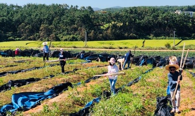 ▲ ⓒ충남교육청