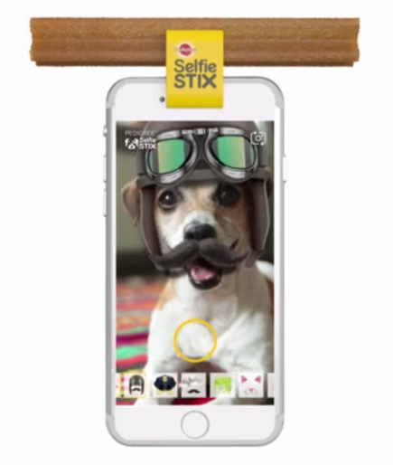 ▲ 페디그리 '강아지와 셀카를' 예시 사진