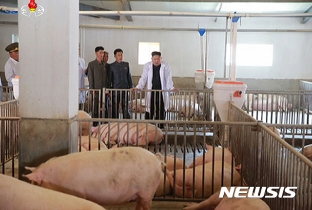 ▲ 북한군이 운영하는 돼지농장. ⓒ뉴시스. 무단전재 및 재배포 금지.