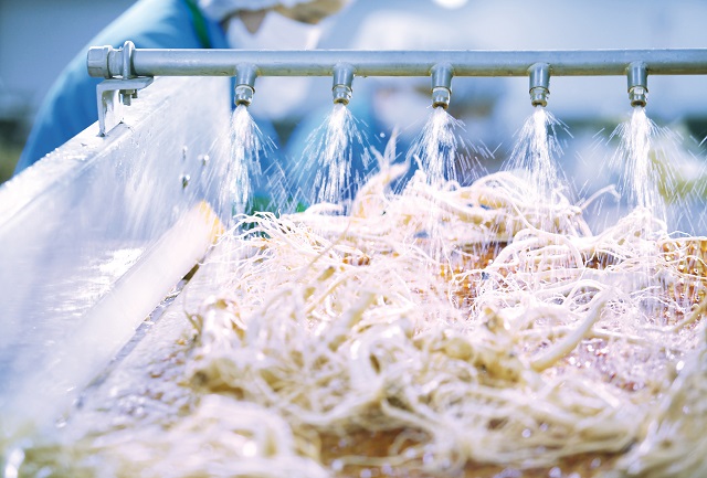 ▲ 충남 부여군 규암면 흥수로 고려인삼창 세삼 모습. ⓒKGC인삼공사