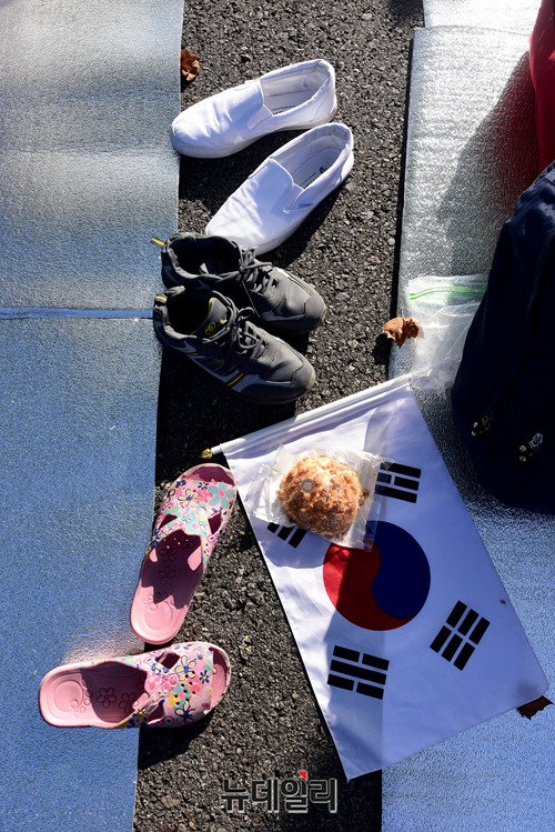 ▲ ⓒ사진=대한민국애국순찰팀