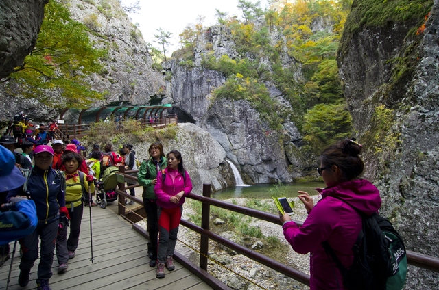 ▲ 청송군(군수 윤경희)은 가을 단풍철 주왕산을 찾는 관광객을 위해 주왕산 특별교통대책을 11월17일까지 실시한다.ⓒ청송군