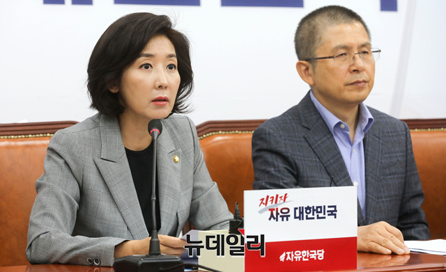 ▲ 나경원 자유한국당 원내대표. ⓒ뉴데일리DB