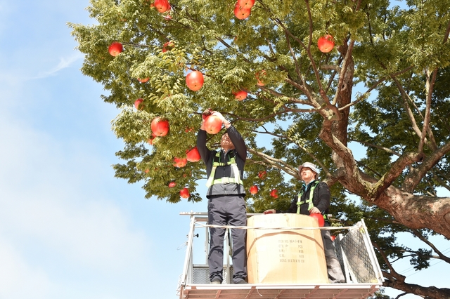▲ 윤경희 청송군수는 “무엇보다도 군민 모두가 행복한 축제, 대한민국 국민 모두가 사랑하는 축제가 만들어 질 수 있도록 최선의 노력을 다하겠다”고 밝혔다.ⓒ청송군