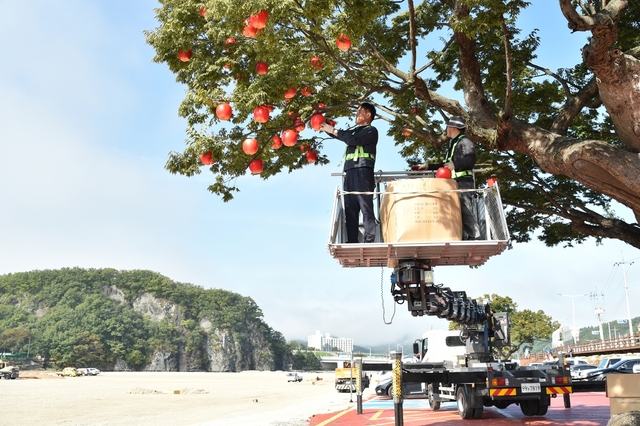 ▲ 청송사과축제는 10월 30일부터 11월3일까지 5일간 청송에서 열린다.ⓒ청송군