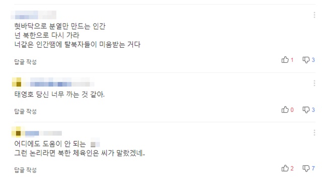 ▲ ⓒ다음 댓글 캡처