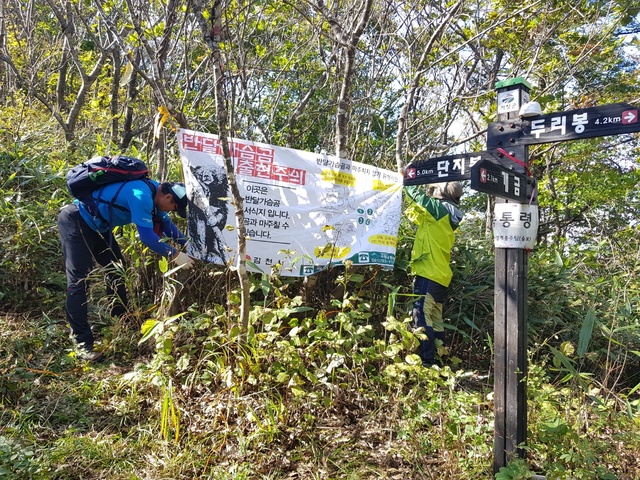 ▲ 시는 지난 17일 오전부터 수도산 일대 반달가슴곰 서식지 안정을 위해 불법엽구(올무, 덫 등) 제거작업을 실시했다.ⓒ김천시