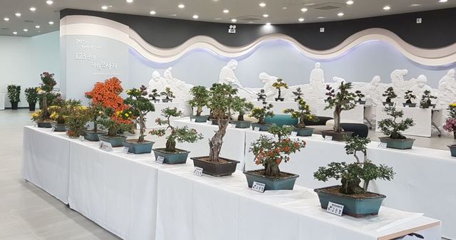 ▲ 충남도 유류피해극복기념관이 오는 23∼31일 기념관 일원에서 국화전시회’를 갖는다.ⓒ충남도