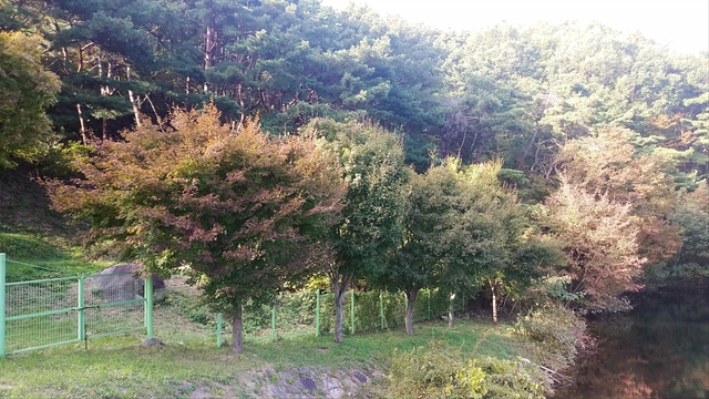 ▲ 21일 대구 팔공산에 첫 단풍이 관측됐다.(팔공산 수태교 모습)ⓒ대구기상청