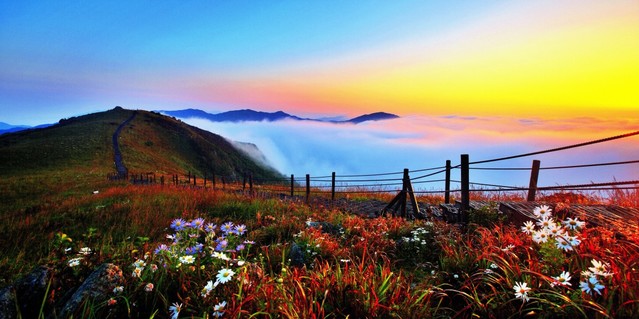 ▲ 민족의 명산으로 불리는 소백산 비로봉 가을 야생화와 운무.ⓒ단양군