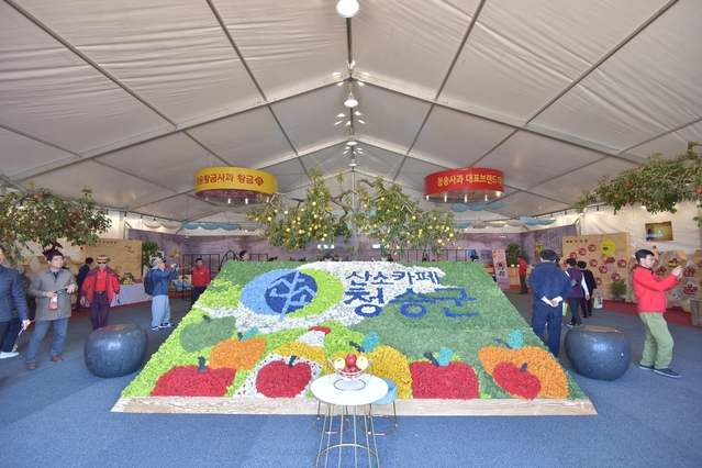 ▲ 이번 축제는 11월 3일까지 5일간 개최되며, 장소는 작년부터 옮긴 청송읍 용전천 일원에서 열린다. ⓒ청송군