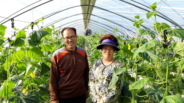 ▲ 이달의 새농민상 수상의 영예를 안은 변충식·서춘옥씨 부부. ⓒ농협충남본부