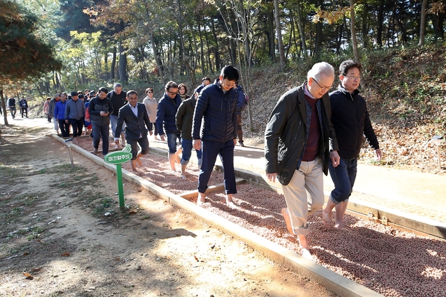 ▲ 계명대 창립120주년 기념 외국인 교수와 함께하는 등행대회 행사를 경상북도청 인근에서 펼쳤다. 이절우 경상북도지사도 함께하며 지역문화 확산을 위해 상호 협력하기로 했다.ⓒ계명대
