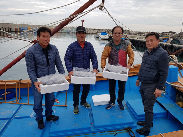 ▲ 경주시가 13일 ‘바다의 산삼’ 해삼 14만8천여 마리를 무상 방류했다.ⓒ경주시