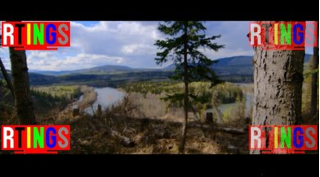 ▲ ⓒ알팅스 홈페이지