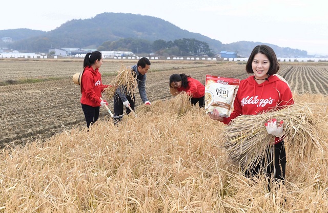 ▲ ⓒ농심켈로그