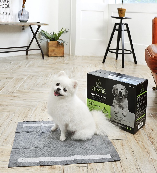 ▲ 휘슬 리얼블랙 배변패드ⓒ애경산업