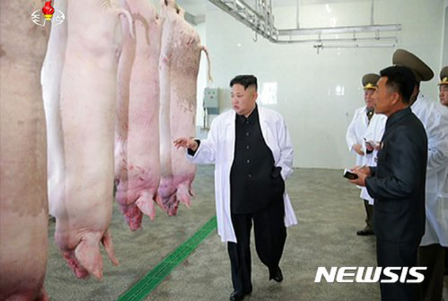 ▲ 2017년 4월 돼지농장을 찾은 김정은. ⓒ뉴시스. 무단전재 및 재배포 금지.