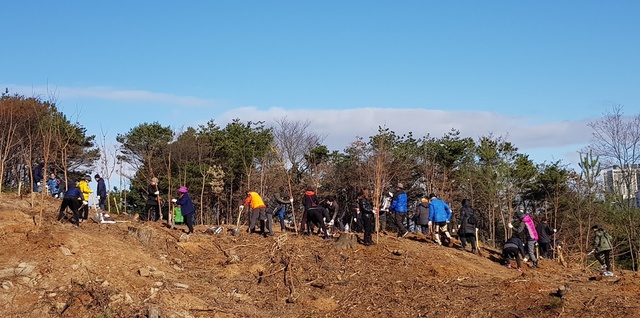 ▲ 29일 서울, 속초시민들이 산불피해지역인 속초시 영랑호 일원에서 화재로 피해를 입은 나무를 제거하는 작업을 벌이고 있다. 서울시는 이곳에 사업비 3억원 들여 서울 숲을 조성한다.ⓒ강원도