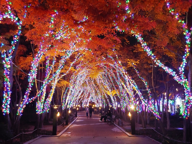 ▲ 대구시가 국채보상운동기념공원 등 도심 내 주요 공원 및 가로변 11개소에 경관조명을 설치한다.ⓒ대구시